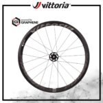 Vittoria Qurano rim